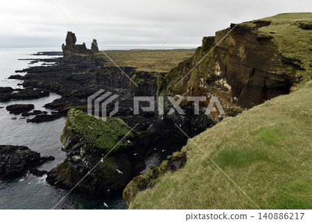 Seabirds nesting on Londrangar cliffs in Iceland 140886217