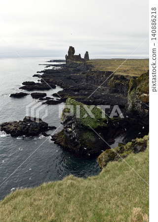Seabirds nesting on Londrangar cliffs in Iceland Seabirds nesting on Londrangar cliffs in Iceland 140886218