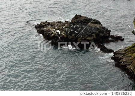 Seabirds on a volcanic rock island near Londrangar, Iceland Seabirds on a volcanic rock island near Londrangar, Iceland 140886223