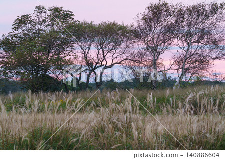 A wetland landscape bathed in the sunset over the Yufutsu Plain in Tomakomai, Hokkaido: Autumn natural scenery material. A wetland landscape bathed in the sunset over the Yufutsu Plain in Tomakomai, Hokkaido: Autumn natural scenery material. 140886604