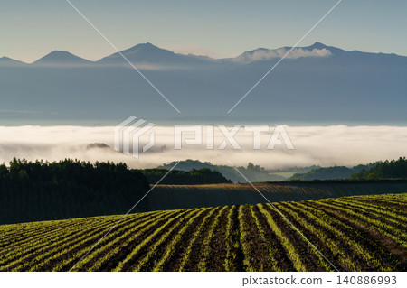 Early morning in Biei, Hokkaido: A breathtaking and fantastical view of the sea of clouds and the Tokachi mountain range bathed in the morning glow. Early morning in Biei, Hokkaido: A breathtaking and fantastical view of the sea of clouds and the Tokachi mountain range bathed in the morning glow. 140886993