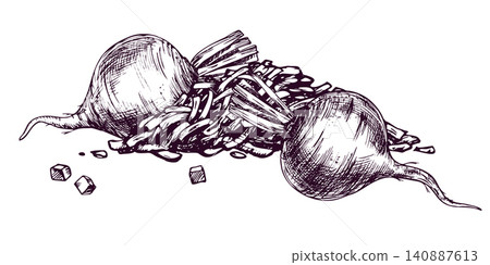 Beetroot and shredded beet illustration drawn with ink and pen in vintage engraving style. Artistic vegetable sketch for culinary design, cookbook, restaurant menu and organic food art. Beetroot and shredded beet illustration drawn with ink and pen in vintage engraving style. Artistic vegetable sketch for culinary design, cookbook, restaurant menu and organic food art. 140887613