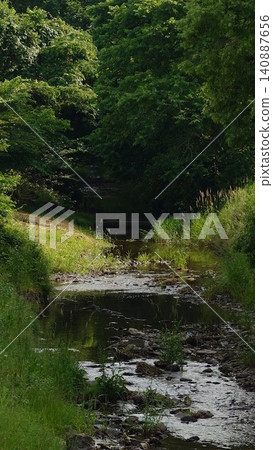 A clear stream flowing through the greenery A clear stream flowing through the greenery 140887656
