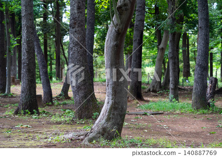 wood wood 140887769