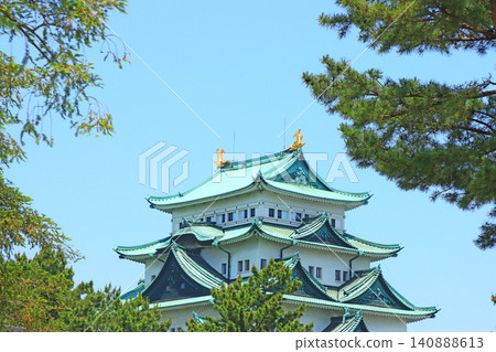 在愛知縣名古屋市,名古屋城掩映在綠樹叢中,景色宜人。 在愛知縣名古屋市,名古屋城掩映在綠樹叢中,景色宜人。 140888613