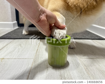 Close-up green paw washer cup for dog, Welsh Corgi cleaning paws after walk, pet hygiene and care concept at home Close-up green paw washer cup for dog, Welsh Corgi cleaning paws after walk, pet hygiene and care concept at home 140888656
