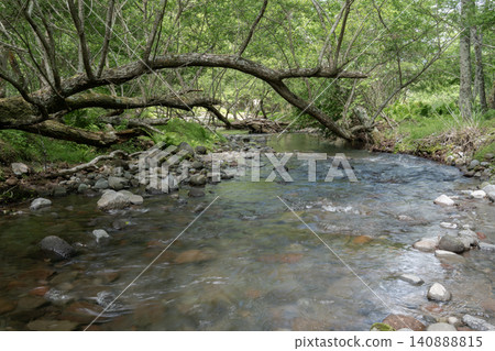 The headwaters of the Somazoe River The headwaters of the Somazoe River 140888815