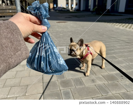 Bags for pet excrement on the background of a French bulldog dog. High quality photos Bags for pet excrement on the background of a French bulldog dog. High quality photos 140888902