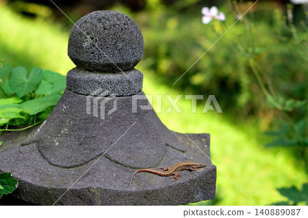 Small lizard on stone garden ornament Small lizard on stone garden ornament 140889087