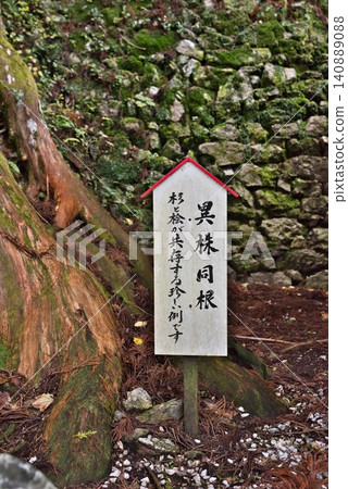 [Tairyuji Temple: Different species with the same root] 140889088