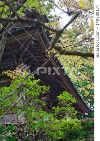 大龍寺的庭院 140889177