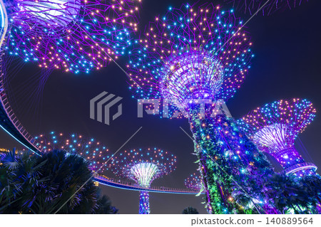 Low-angle view of the Supertree Grove at Gardens by the Bay in Singapore, there is an exhilarating light and musical show at night. Low-angle view of the Supertree Grove at Gardens by the Bay in Singapore, there is an exhilarating light and musical show at night. 140889564