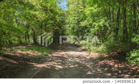 Forest path winding through vibrant green trees Forest path winding through vibrant green trees 140889618