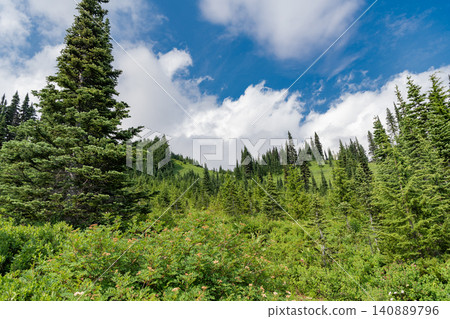 Green forest wood landscape in mountain. Nature of mixed forest. Landscape of scenery nature. Scenic landscape of woodland. Hill landscape with forest. Nature of mountain forest. Picturesque view Green forest wood landscape in mountain. Nature of mixed forest. Landscape of scenery nature. Scenic landscape of woodland. Hill landscape with forest. Nature of mountain forest. Picturesque view 140889796