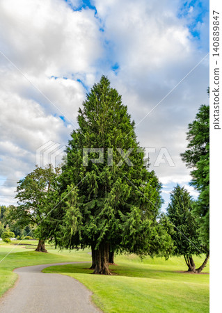 Summer park nature with hiking trail. Scenic landscape of woodland. Public park. Nature of forest. Green forest wood landscape in summer. Nature of mixed forest. Landscape of meadow at park Summer park nature with hiking trail. Scenic landscape of woodland. Public park. Nature of forest. Green forest wood landscape in summer. Nature of mixed forest. Landscape of meadow at park 140889847