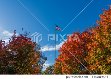 American flag among autumn trees. Park autumn tree in New York. Scenic fall. Central park in autumn. Autumn landscape with American flag. Fall nature landscape. Fall nature in Central park American flag among autumn trees. Park autumn tree in New York. Scenic fall. Central park in autumn. Autumn landscape with American flag. Fall nature landscape. Fall nature in Central park 140889851
