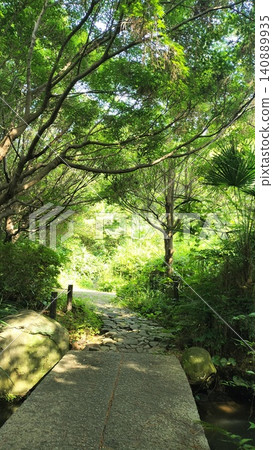 Road wrapped in fresh green Road wrapped in fresh green 140889935