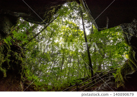 Aokigahara Forest Aokigahara Forest 140890679
