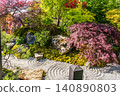 japanese garden on Chelsea Flower Show 2026  with Japanese maple of red color (and Japanese rock garden)  in London 140890803