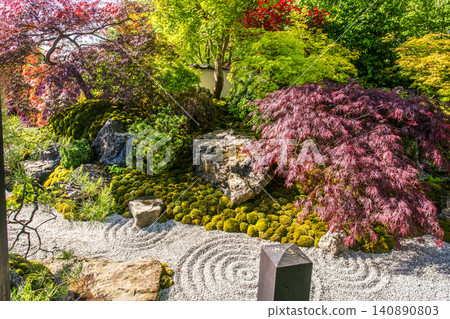 japanese garden on Chelsea Flower Show 2026 with Japanese maple of red color (and Japanese rock garden) in London japanese garden on Chelsea Flower Show 2026 with Japanese maple of red color (and Japanese rock garden) in London 140890803