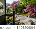 japanese garden on Chelsea Flower Show 2026  with Japanese maple of red color (and Japanese rock garden)  in London 140890804