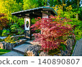 japanese garden on Chelsea Flower Show 2026  with Japanese maple of red color (and Japanese rock garden)  in London 140890807