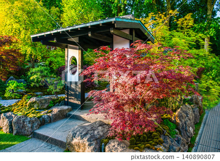 japanese garden on Chelsea Flower Show 2026 with Japanese maple of red color (and Japanese rock garden) in London japanese garden on Chelsea Flower Show 2026 with Japanese maple of red color (and Japanese rock garden) in London 140890807