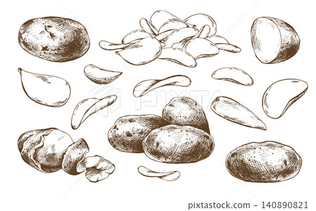 Hand drawn ink illustration of potato set. Raw vegetable, sliced tuber and crispy chip as food ingredient. Vintage etching style sketch collection for culinary and kitchen design. Hand drawn ink illustration of potato set. Raw vegetable, sliced tuber and crispy chip as food ingredient. Vintage etching style sketch collection for culinary and kitchen design. 140890821