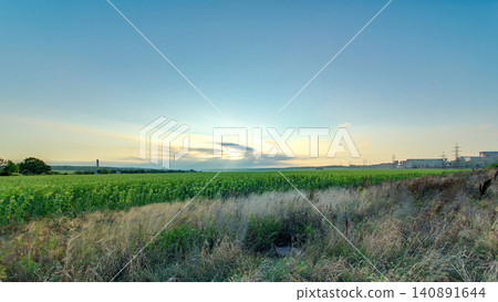 Beautiful sunrise in field and blue sky with clouds timelapse Beautiful sunrise in field and blue sky with clouds timelapse 140891644
