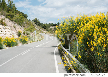 Serene roadway bordered by blooming yellow flowers on a sunny day Serene roadway bordered by blooming yellow flowers on a sunny day 140892174