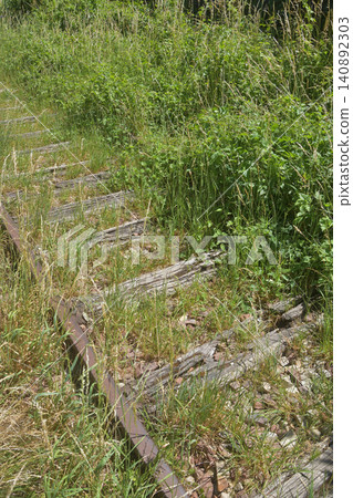Remains of a disused railway line in Petite Ceinture, 15th arrondissement of Paris (June 14, 2026) 140892303