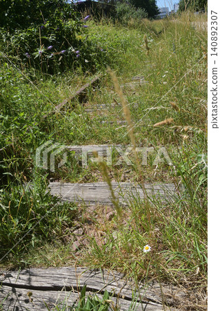 巴黎十五區小環城路(Petite Ceinture)廢棄鐵路線的遺跡(2026年6月14日) 巴黎十五區小環城路(Petite Ceinture)廢棄鐵路線的遺跡(2026年6月14日) 140892307