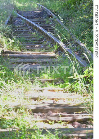 巴黎十五區小環城路（Petite Ceinture）廢棄鐵路線的遺跡（2026年6月14日） 140892312