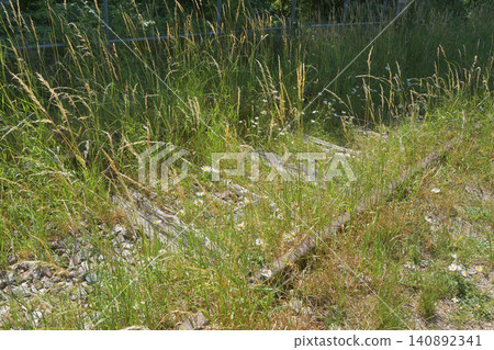 Remains of a disused railway line in Petite Ceinture, 15th arrondissement of Paris (June 14, 2026) Remains of a disused railway line in Petite Ceinture, 15th arrondissement of Paris (June 14, 2026) 140892341