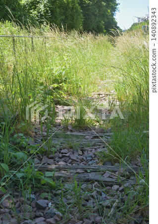 巴黎十五區小環城路（Petite Ceinture）廢棄鐵路線的遺跡（2026年6月14日） 140892343