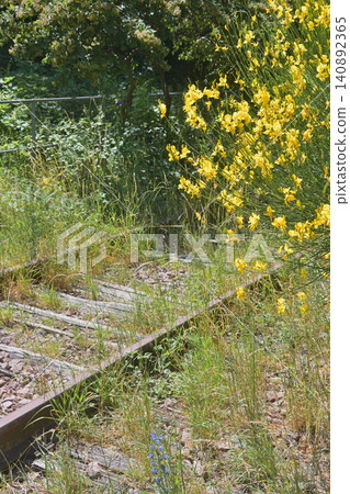 Remains of a disused railway line in Petite Ceinture, 15th arrondissement of Paris (June 14, 2026) Remains of a disused railway line in Petite Ceinture, 15th arrondissement of Paris (June 14, 2026) 140892365