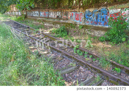 巴黎十五區小環城路（Petite Ceinture）廢棄鐵路線的遺跡（2026年6月14日） 140892373