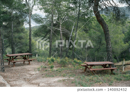 Rustic picnic spot amidst lush forest trees with wooden benches and scenic view Rustic picnic spot amidst lush forest trees with wooden benches and scenic view 140892432