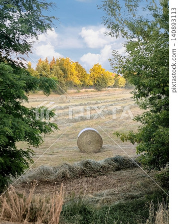 A mown field with a haystack, seen through green branches. A mown field with a haystack, seen through green branches. 140893113
