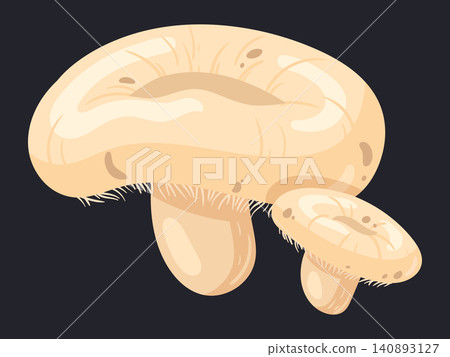 Champignon mushrooms. White button mushrooms isolated on dark background flat vector illustration. Fresh edible fungi Champignon mushrooms. White button mushrooms isolated on dark background flat vector illustration. Fresh edible fungi 140893127