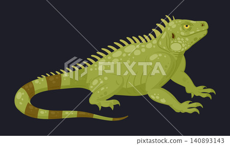 Green iguana lizard. Iguana isolated on dark background flat vector illustration. Tropical reptile wildlife animal Green iguana lizard. Iguana isolated on dark background flat vector illustration. Tropical reptile wildlife animal 140893143