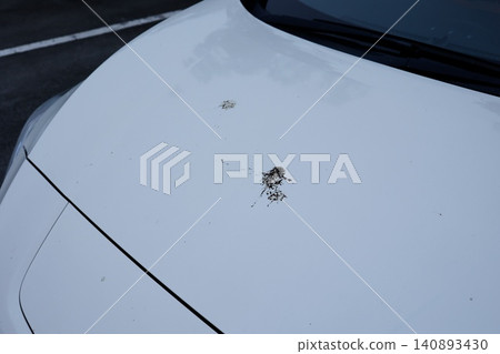 汽車引擎蓋上有鳥糞。白色漆面。污垢。 汽車引擎蓋上有鳥糞。白色漆面。污垢。 140893430