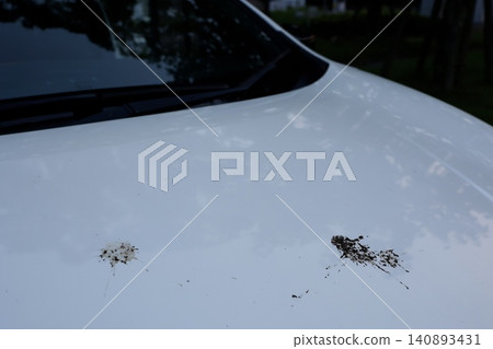 汽車引擎蓋上有鳥糞。白色漆面。污垢。 汽車引擎蓋上有鳥糞。白色漆面。污垢。 140893431