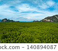 Amazing abundant mangrove forest, Aerial view of forest trees Rainforest ecosystem and healthy environment background, Texture of green trees forest top down, High angle view 140894087