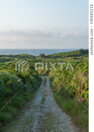 A rutted, unpaved road across a wide, grassy plain where the sea on the horizon is visible. A rutted, unpaved road across a wide, grassy plain where the sea on the horizon is visible. 140895218