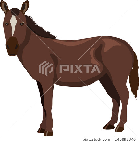 Horse facing left 140895346