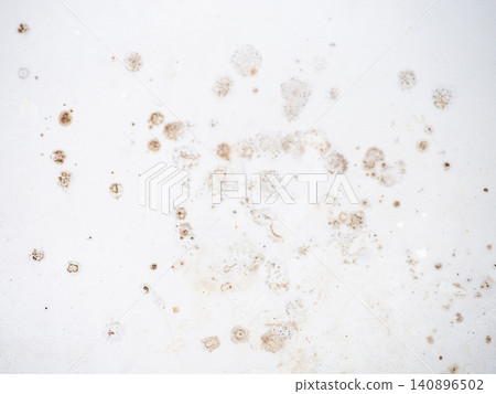 Mold on the enamel in the bathroom. Mold spores in the bathroom. Black dots on a white background. The problem of everyday life. The need for a cleaning product. Mold on the enamel in the bathroom. Mold spores in the bathroom. Black dots on a white background. The problem of everyday life. The need for a cleaning product. 140896502