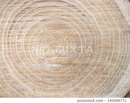 Fresh cut of a tree. Annual rings on wood. A round piece of wood. Fresh cut of a tree. Annual rings on wood. A round piece of wood. 140896751