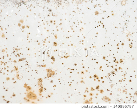Mold on the surface of the bath. Dark mold close-up on bath enamel. Dirty white surface. The concept of the appearance of bacteria. Mold on the surface of the bath. Dark mold close-up on bath enamel. Dirty white surface. The concept of the appearance of bacteria. 140896797