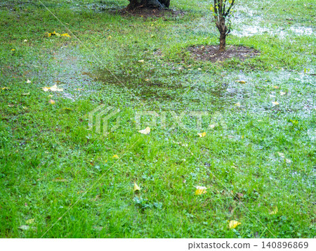 Park after the rain. Park lawn in puddles. After bad weather. Autumn in the park. Park after the rain. Park lawn in puddles. After bad weather. Autumn in the park. 140896869